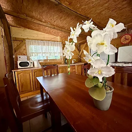 Luxury tent Glamping Krn *